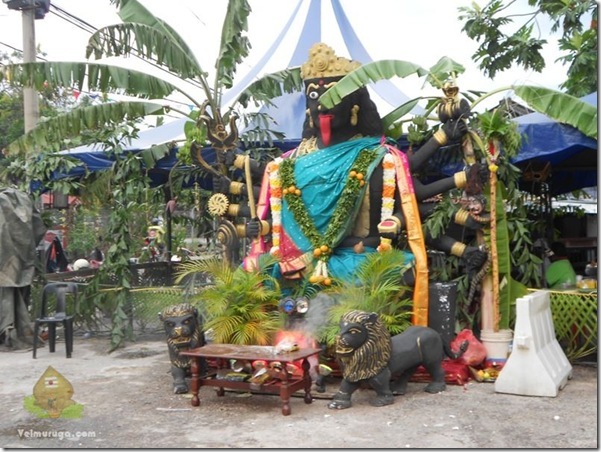 DSCN4175